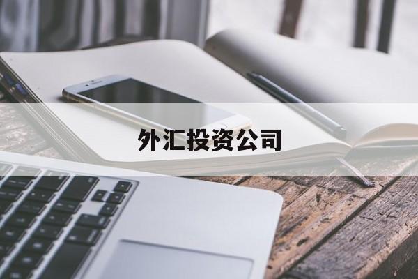 外汇投资公司(外汇投资公司有哪些)